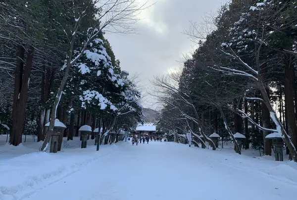北海道神宮の写真・動画_image_248802