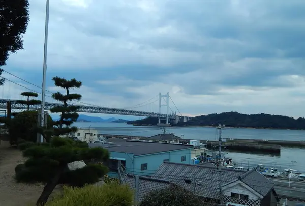 観音寺の写真・動画_image_249641