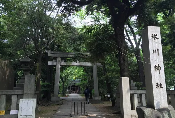 赤坂氷川神社の写真・動画_image_249866