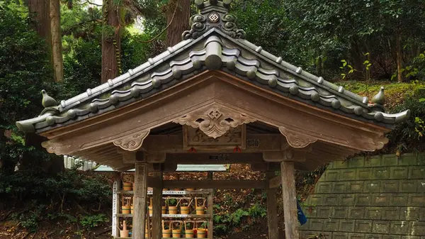 諸上寺の写真・動画_image_249985
