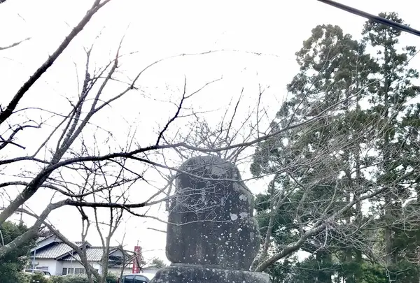 佐太神社の写真・動画_image_250509