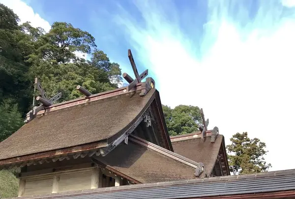 佐太神社の写真・動画_image_250511