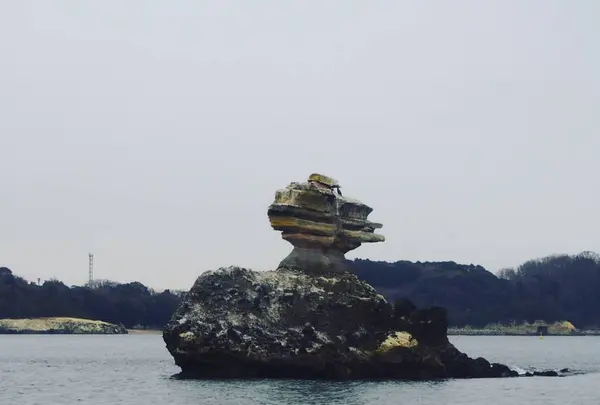 松島島巡り観光船の写真・動画_image_251040