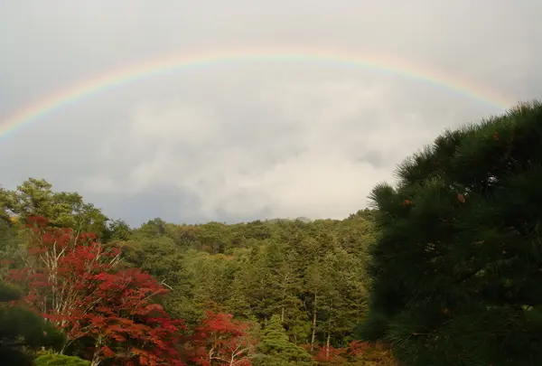 な、なんと、虹！！！