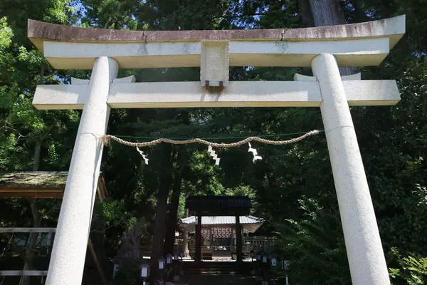 知井八幡神社の写真・動画_image_252878
