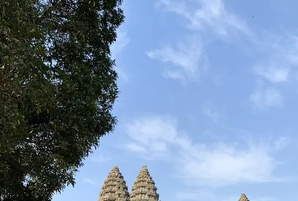 Angkor Wat（アンコール・ワット）の写真・動画_image_253234
