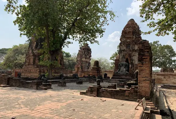 Wat Mahathat（ワット・マハタート）の写真・動画_image_253438