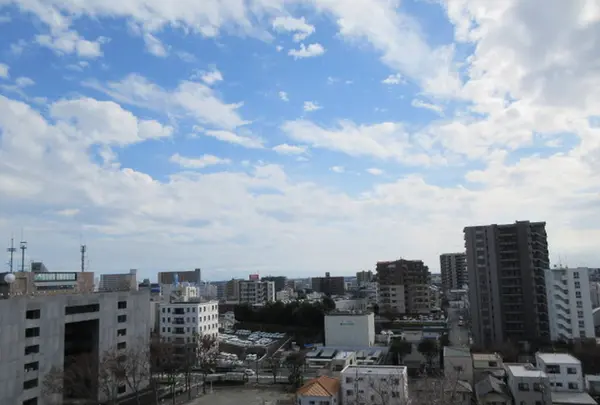 浜松城の写真・動画_image_253472