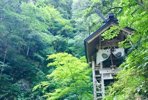 天岩戸神社の写真・動画_image_254550