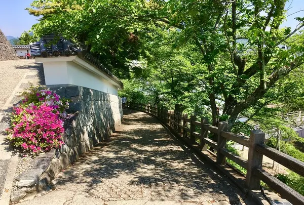 福知山城の写真・動画_image_254579
