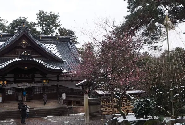 尾山神社の写真・動画_image_255259