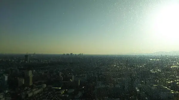 恵比寿ガーデンプレイスタワーの写真・動画_image_258240