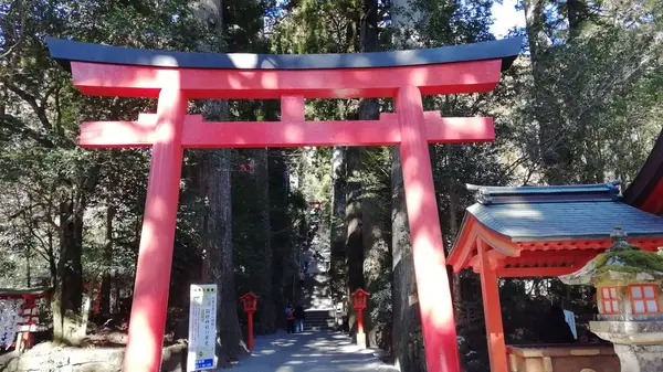 箱根神社の写真・動画_image_259355