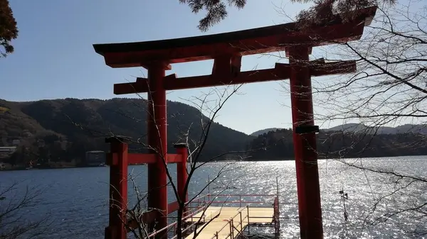 箱根神社の写真・動画_image_259356