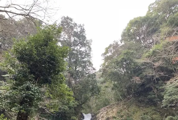 浄蓮の滝の写真・動画_image_261519