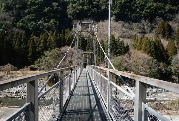音の谷吊り橋の写真・動画_image_265190