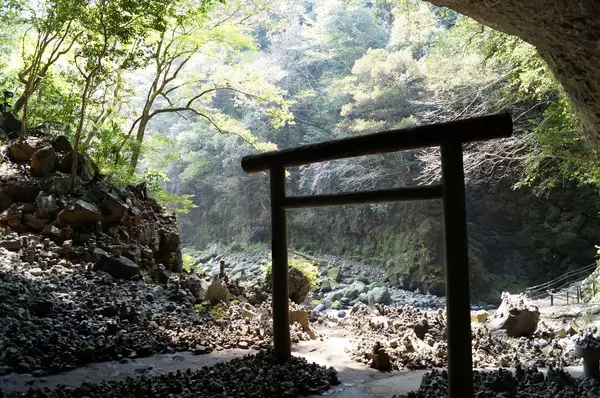 天岩戸神社の写真・動画_image_265228