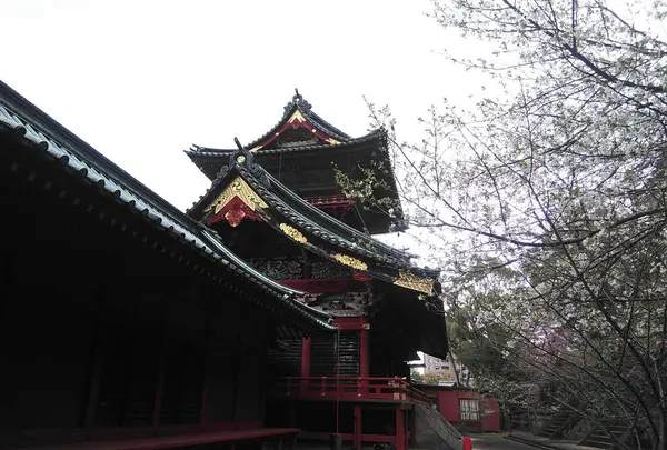 静岡浅間神社の写真・動画_image_267824