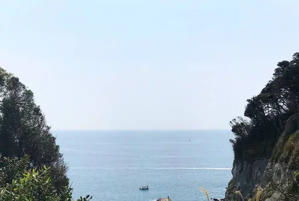 江の島の写真・動画_image_268658