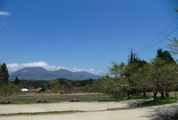 茅部神社の大鳥居の写真・動画_image_27033