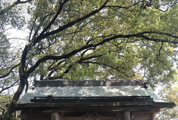 刺田比古神社の写真・動画_image_270450