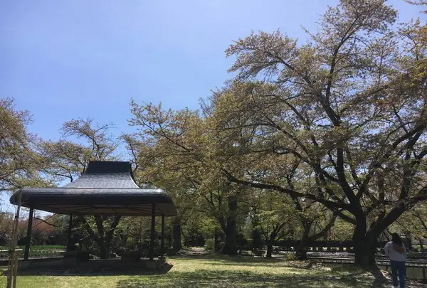 伊佐須美神社の写真・動画_image_274002
