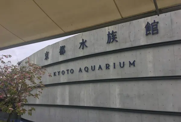 京都水族館の写真・動画_image_274215