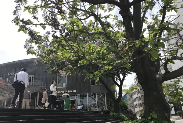 AKOMEYA TOKYO in la kagūの写真・動画_image_275370