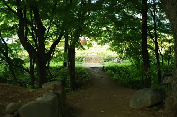 武田神社の写真・動画_image_276909
