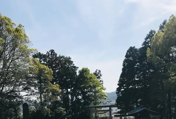 神峰神社の写真・動画_image_277816