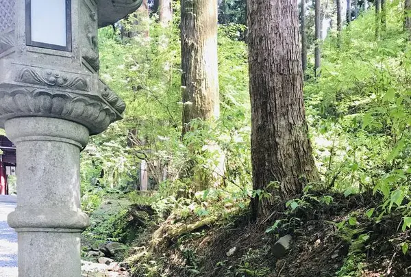 御岩神社の写真・動画_image_277825
