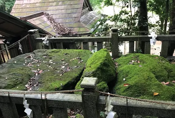 赤猪岩神社の写真・動画_image_278294