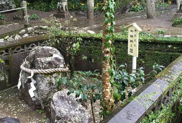 立磐神社の写真・動画_image_278608