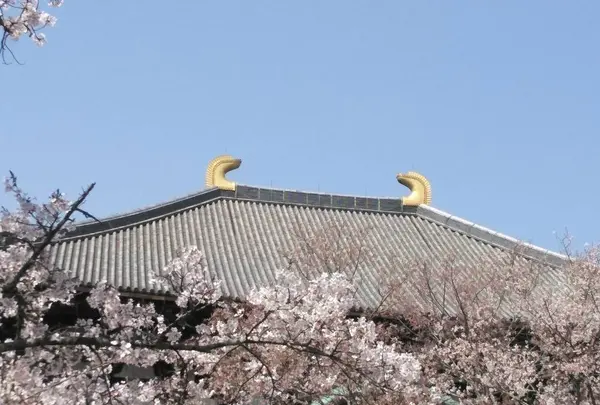 東大寺の写真・動画_image_279666