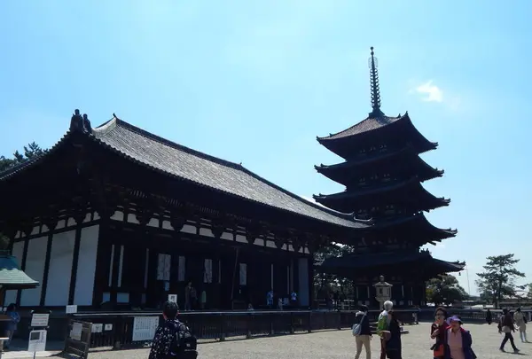 興福寺 東金堂の写真・動画_image_279703