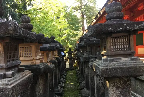 榎本神社の写真・動画_image_279956