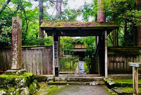 平泉寺白山神社の写真・動画_image_282371