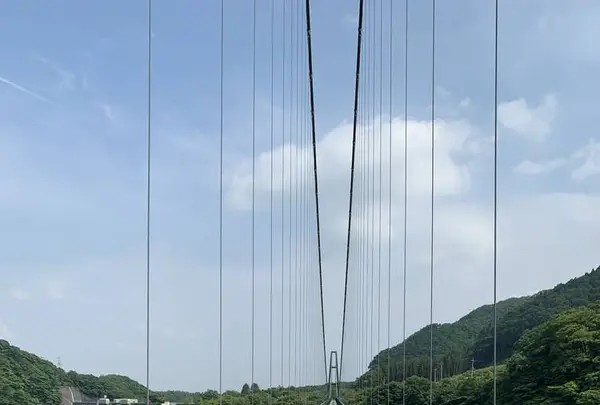 森林の駅　もみじ谷大吊橋の写真・動画_image_282518