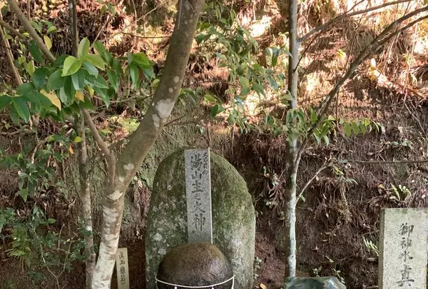 玉作湯神社の写真・動画_image_284069