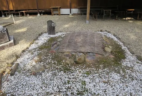 須佐神社の写真・動画_image_285118