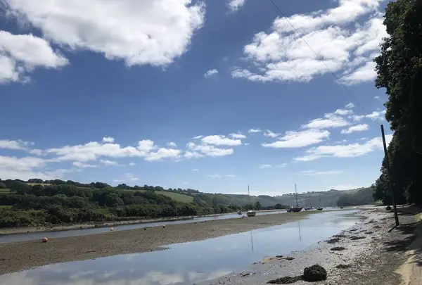Tidal Rdの写真・動画_image_289134