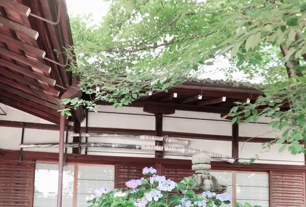 藤森神社の写真・動画_image_290341
