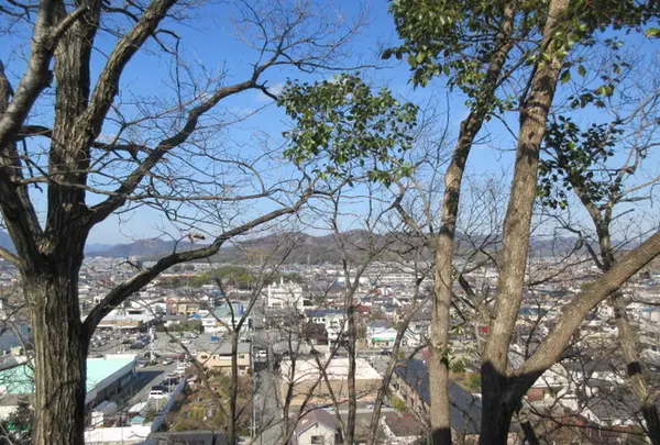 太子山公園の写真・動画_image_293432