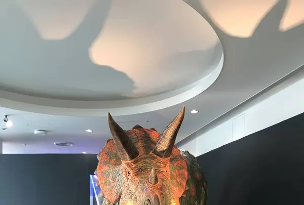 福井県立恐竜博物館の写真・動画_image_294176