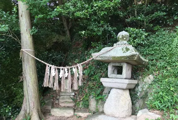 日吉神社の写真・動画_image_296568