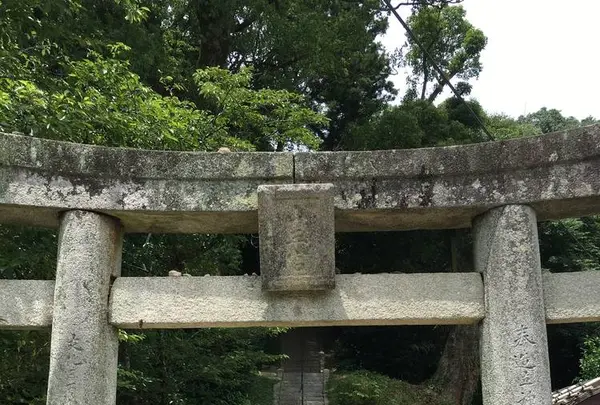 日吉神社の写真・動画_image_296569