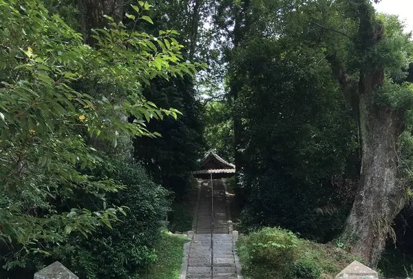 日吉神社の写真・動画_image_296570