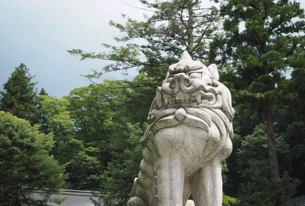 白山比咩神社の写真・動画_image_304007
