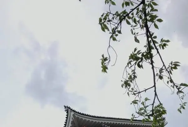 熱海城の写真・動画_image_304208
