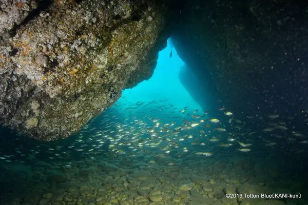 城原海岸の写真・動画_image_306221